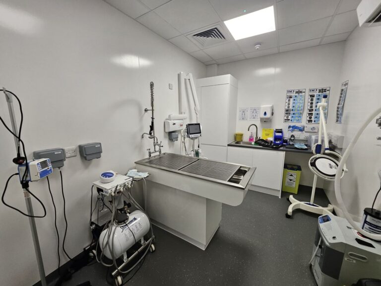 Veterinary practice, Isle of Wight, photo 4